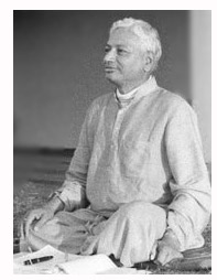 from vidyananda