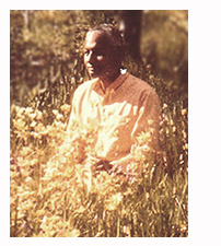 from Vidyananda